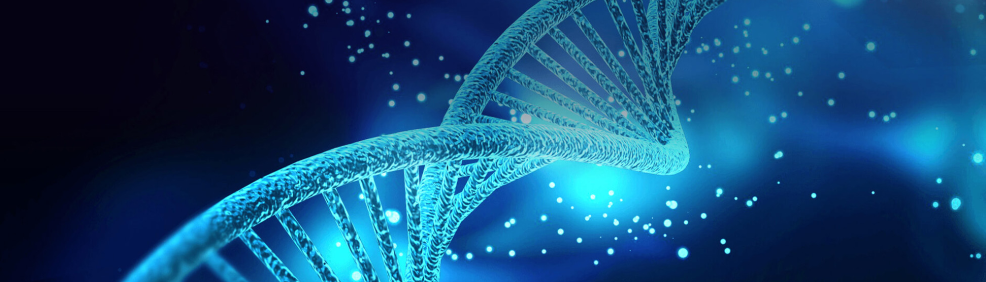 Your Strong Partner for