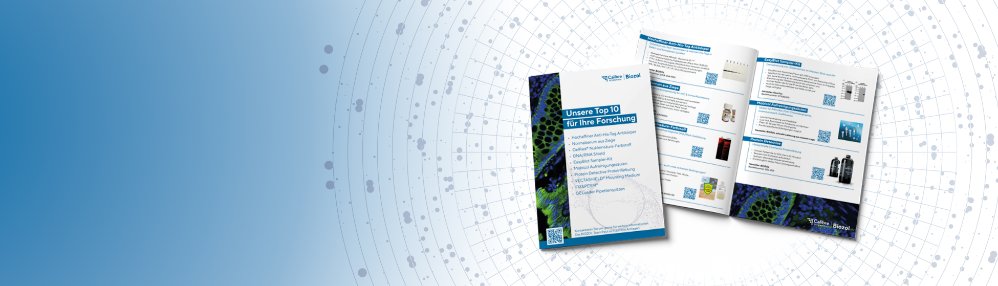 Our Top 10 for your research