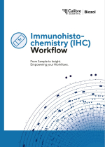 Immunhistochemie (IHC) Workflow