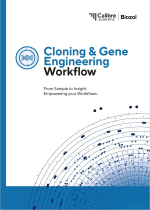 Klonierung und Gentechnik Workflow