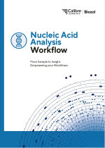 Nukleinsäureanalyse Workflow