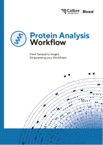 Proteinanalyse Workflow