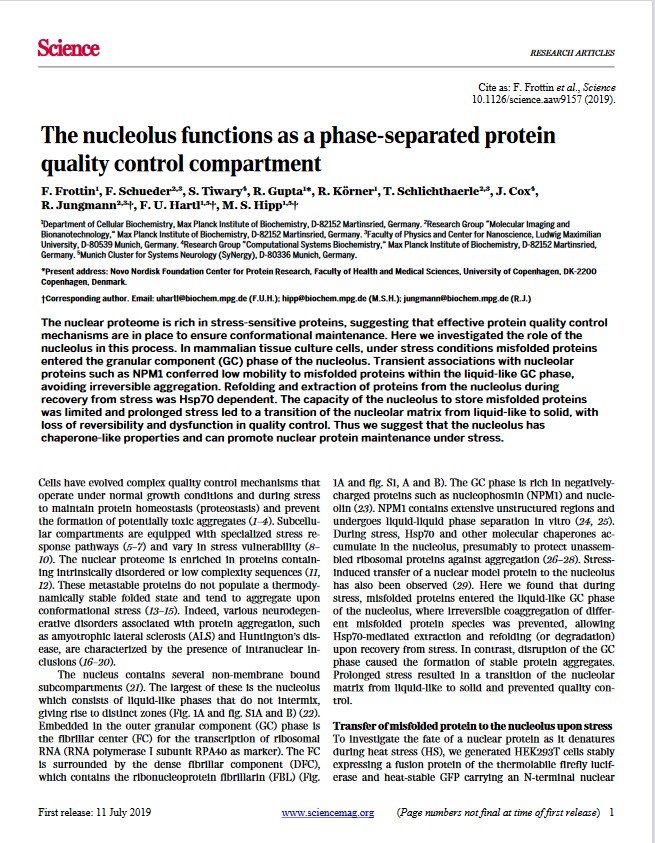 The nucleolus functions as a phase-separated protein quality control compartment