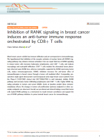 Turning-Cold-Tumors-Hot-The-RANK