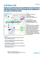 Dynamic-spatiotemporal-coordination