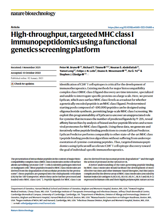 High-throughput, targeted MHC class I immunopeptidomics using a functional genetics screening platform