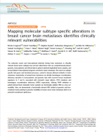 Mapping molecular subtype specific alterations in breast cancer brain metastases identifies clinically relevant vulnerabilities
