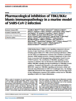 Pharmacological inhibition of TBK1/IKKε blunts immunopathology in a murine model of SARS-CoV-2 infection