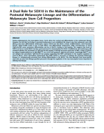 A Dual Role for SOX10 in the Maintenance of the Postnatal Melanocyte Lineage and the Differentiation of Melanocyte Stem Cell Progenitors