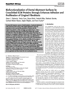 Biofunctionalization of Dental Abutment Surfaces by Crosslinked ECM Proteins Strongly Enhances Adhesion and Proliferation of Gingival Fibroblasts