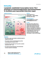 Lymphatic endothelial transcription factor Tbx1 promotes an immunosuppressive microenvironment to facilitate post-myocardial infarction repair