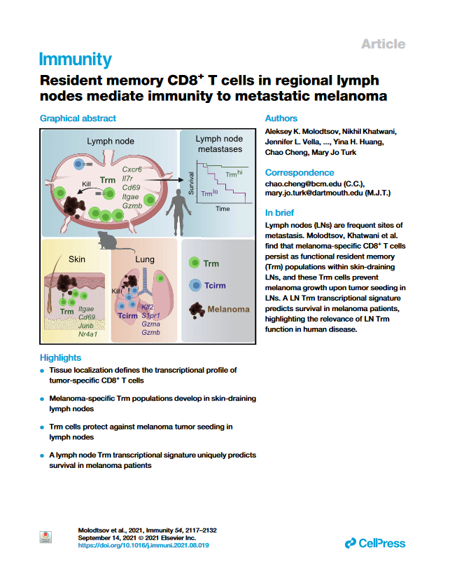 Resident memory CD8+ T cells in regional lymphnodes mediate immunity to metastatic melanoma