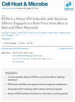 RTP4-Is-a-Potent-IFN-Inducible