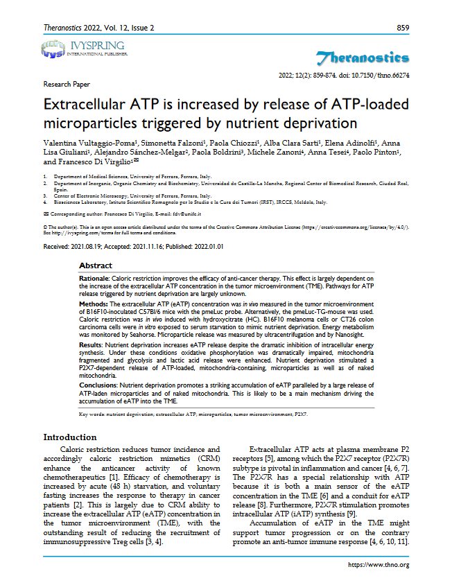 Extracellular ATP is increased by release of ATP-loaded microparticles triggered by nutrient deprivation