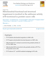 Mitochondrial functional and structural impairment is involved in the antitumor activity of δ-tocotrienol in prostate cancer cells