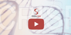 SignalChem Webinar: CRISPR-based diagnostics