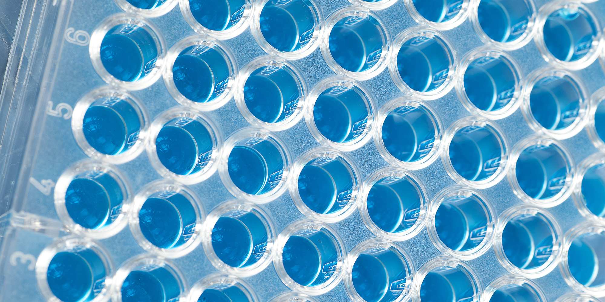 Coated 96 well microplates for immunoassays