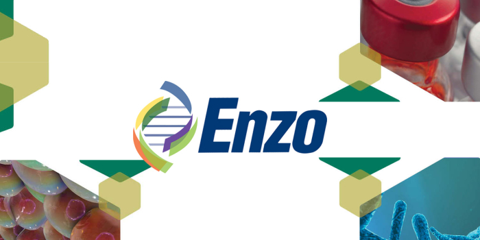 Enzo Life Sciences new at BIOZOL