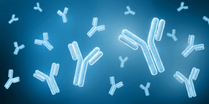Europes Largest Selection of Secondary Antibodies