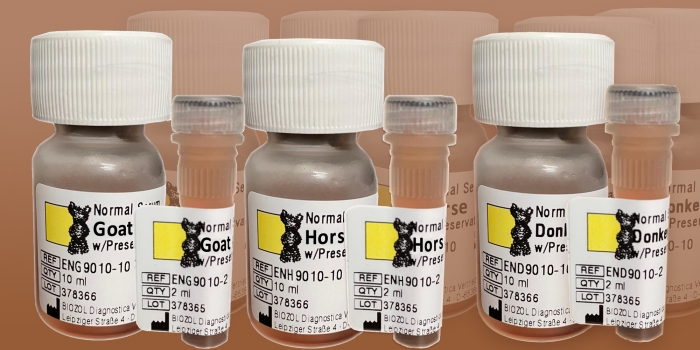 Histoprime blocking serum for IHC