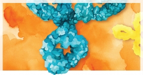 Bio X Cell InVivoSIM biosimilare monoklonale Antikörper