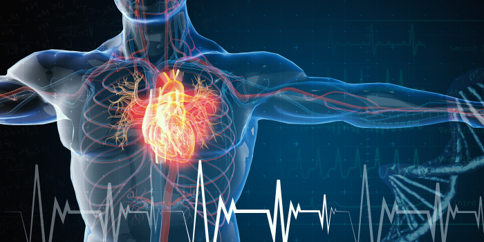 cardiovascular biomarkers