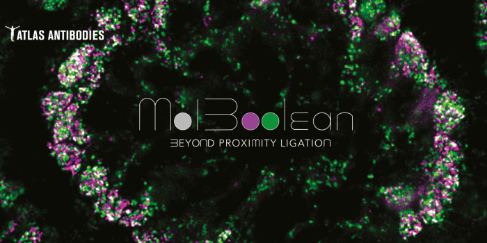 MolBoolean - Beyond proximity ligation
