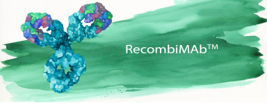 bioxcell-recombimab