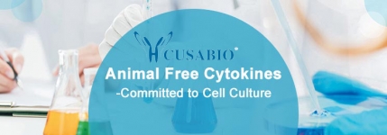 Cusabio's Animal Free Cytokines