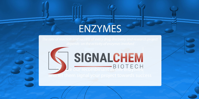 SignalChem Active Recombinant Enzymes