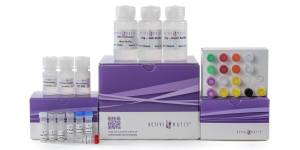 CUT&Tag-IT Assay-Kits