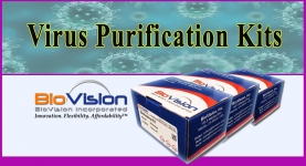BioVision Virus Purification Kits
