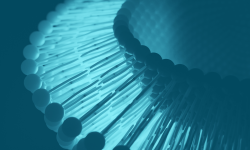 Lipid Nanoparticles