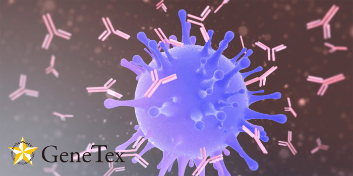 GeneTex Antibodies for Virology Research