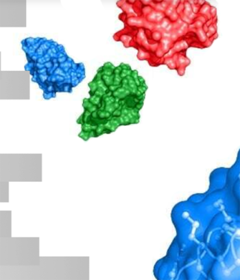 MiniMab™ Single-Domain Antibodies
