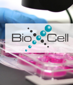 Ex vivo models - Why in vivo antibodies are a natural fit