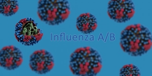Anti-Influenza A/B Antbodies
