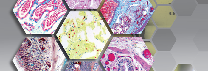 ScyTek - Special Stains for Histology