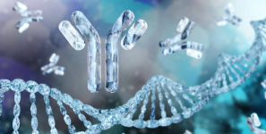 ChIP-Exo-Seq Validated Antibodies from Atlas Antibodies