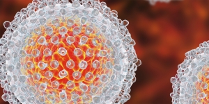 GeneTex Antibodies - Hepatitis C Virus