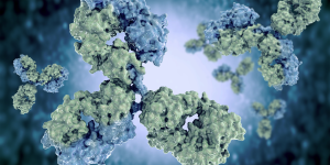Absolute Antibody&nbsp;Webinar: Comparing Bispecific Antibody Format Feasibility