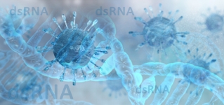dsRNA-detection