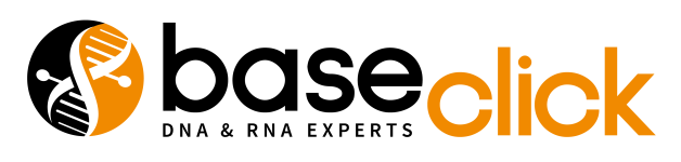 Logo baseclick baseclick