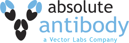Absolute Antibody