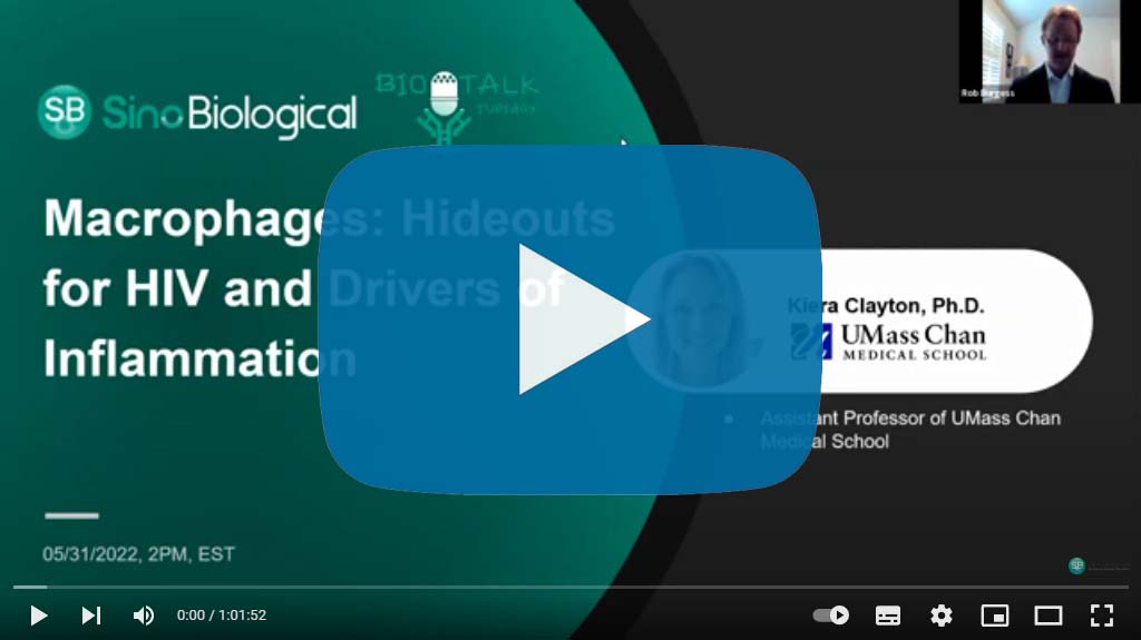 Webinar: Macrophages - Hideouts for HIV and Drivers of Inflammation
