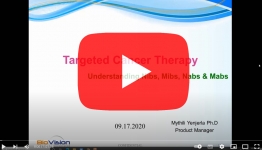BioVision Webinar: Targeted Cancer Therapy