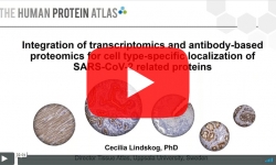 atlas-antibodies-sars-cov-2