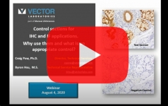 vector-ihc-control-sections