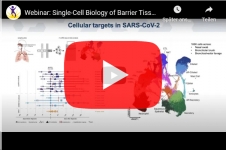 biolegend-single-cell-biology-of-barrier-tissues