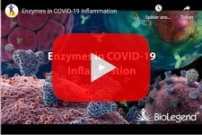 biolegend-enzymes-in-covid-19-inflammation